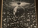 Neil Young With Pearl Jam, Mirror Ball, 2 LP, 1995. Beautiful