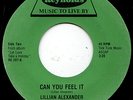 Lillian Alexander - Can You Feel It. Modern Soul. LISTEN