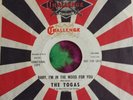CHRIS MORGAN & THE TOGAS-BABY I'M IN THE MOOD FOR YOU PROMO 45 Bob Dylan song NM