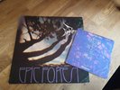 Rare Bird LP Epic Forest UK Polydor 1st press & 7