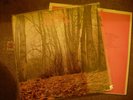Twink Think pink UK original LP Record Pink Fairies Pretty Things Mick Farren