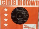 MARV JOHNSON - WHY DO YOU WANT TO LET ME GO - TAMLA MOTOWN TMG 525 RARE