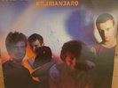 The Teardrop Explodes Kilimanjaro Vinyl Signed Autographed