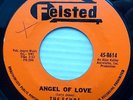 the ECHOS mint minus doowop FELSTED 45 ANGEL OF LOVE / TWISTIN TOWN   PC269