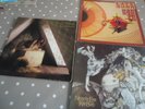 3X KATE BUSH UK VINYL LP SUPERB AUDIO LIONHEART,KICK INSIDE,NEVER FOR EVER 1ST