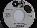 Northern Soul 45 MIRACLES My Girl Has Gone TAMLA VG+ promo HEAR