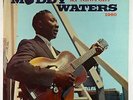 Muddy Waters - At Newport 1960 LP - Chess Black Label Mono VG++