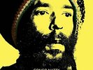 CONGO NATTY-JUNGLE REVOLUTION IN DUB (DLCD) (UK IMPORT) VINYL LP NEW
