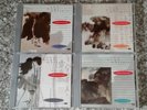 The Hugo Masters An Anthology of Chinese Classical Music Vol 1-4