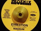 MAGNUM Evolution SOUL FUNK DRUM BREAKS SAMPLES PHOENIX 7