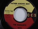 Northern Soul 45 RADIANTS Father Knows Best CHESS VG+ promo HEAR