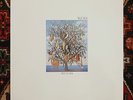 TALK TALK SPIRIT OF EDEN LP PARLOPHONE PCSD 105 1988 MARK HOLLIS ART ROCK