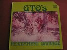 GTO's - Permanent Damage  Original 1969 Straight  Promo LP Frank Zappa