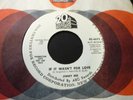 Jimmy Bee Why Did I Loose You Baby/If It Wasn't For Love 45 1966 Northern Soul