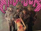 Petards - Hitshock