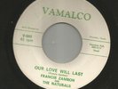ROCKABILLY BW/ INSTRO-  FRANCIS ZAMBON - ( MARK JAMES ) HEAR- 1959 TEXAS VAMALCO