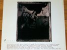 x PIXIES Surfer Rosa LP (1988) original
