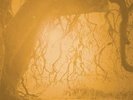 GOLDEN VOID - GOLDEN VOID  VINYL LP NEU