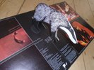 BADGER / ONE LIVE BADGER UK 1ST PRESS VINYL LP K40473 working pop-up PROG ROCK