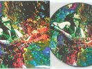 LED ZEPPELIN, Kashmir, NY, MSG, Feb. 1975 PICTURE DISC w/COVER, NEW