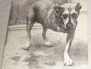 VINYL LP by ALICE IN CHAINS 
