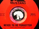 BOBBY FULLER FOUR 