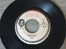 THE ITALS - Temptation, original 7” Vinyl Roots reggae 1977 JA (Jah Man)