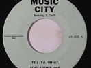 LORD LUTHER & 5 HEARTS: Tell Ya What / Tremble 45 rare Vocal Groups