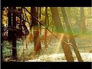 Camp - Childish Gambino - R & B Vinyl