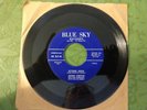 Sunshine / Flying High - Janine Christie Rock & Roll 1958 Blue Sky Records