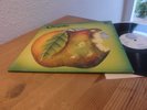 1st Vertigo Swirl Prog Psych LP Catapilla 1971 Mint Female Voices Anna Meek