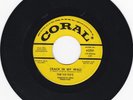 NEW YORK GARAGE 45 - CRACK IN MY WALL/THE RAVEN - CORAL - PROMO  VG+
