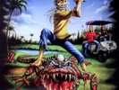 IRON MAIDEN THE EVIL IN FLORIDA LP PICTURE NEW