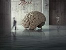 RUSH 