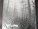 The Cure - A Forest 12