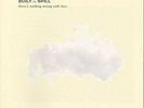 BUILT TO SPILL - THERE'S NOTHING WRONG WITH LOVE NEW VINYL RECORD