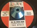 the opals NO NEVER AGAIN/JUST LIKE A LITTLE BITTY BABY girl group northern soul