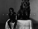 6LACK: FREE 6LACK (LP vinyl *BRAND NEW*)