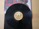 The Butterfield Blues Band – In my own Dream – US 1st EKS-74025
