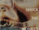 Peter Gabriel Shock The Monkey UK 12