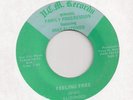 FAMILY PROGRESSION : Feeling Free (V.C.M.)Rare CA. Private Modern Soul 45 LISTEN
