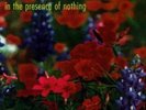 LILYS: IN THE PRESENCE OF NOTHING (LP vinyl *BRAND NEW*)