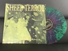 SHEER TERROR Old New Borrowed and Blue LP RARE NYHC Negative Approach the Saints