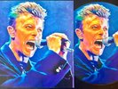 DAVID BOWIE - PICTURE DISC - LIMITED EDITION -LIVE AT ZÉNITH - PARIS - NEAR MINT
