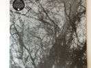 Grouper (Liz Harris) — Way Their Crept — RARE LIMITED EDITION Clear Vinyl LP