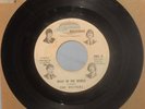 VECTORS - JOE KELLEY 1964 CHICAGO HARP-WAILIN' GARAGE PUNK VG PLAYS GREAT  NR