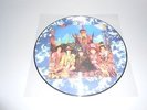 picture disc the rolling stones their satanic majesties requiest