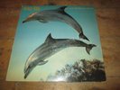 Orange Juice You Can't Hide Your Love Forever Vinyl Album 1981 Polydor VG+
