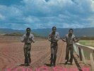 The Pioneers - Long Shot