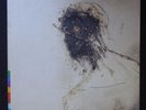 PETER GABRIEL Passion Last Temptation Of Christ SCORSESE REAL WORLD VINYL 2LP